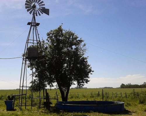 750 Ha MIX Ruta 91, Saladillo, Casa y Mejoras de Trabajo