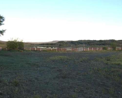 Estancia 26.000 Ha Santa Cruz Zona Perito Moreno
