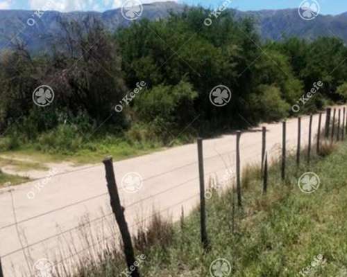 Campo en Venta de 44 Has, Cortaderas, San Luis. Nogales.