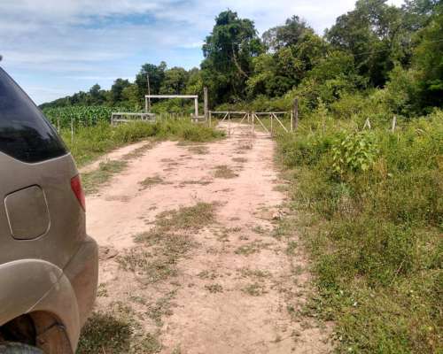 Formosa -2650 Has - Oportunidad-