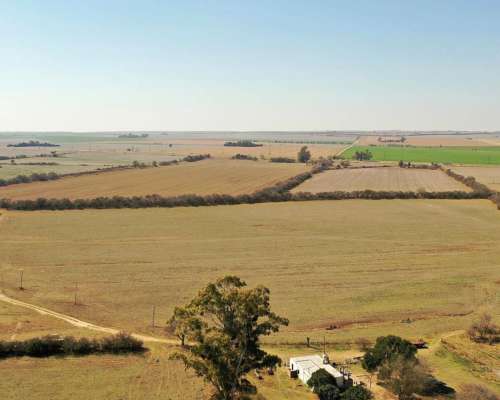 Las Bajadas, Calamuchita, Córdoba - 72 Ha