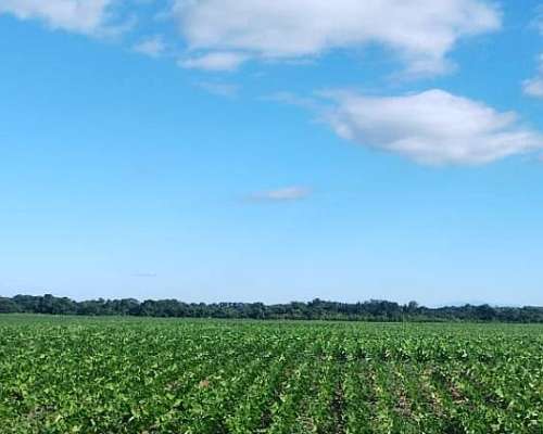 Finca con 120 Hectáreas Embarcación Salta