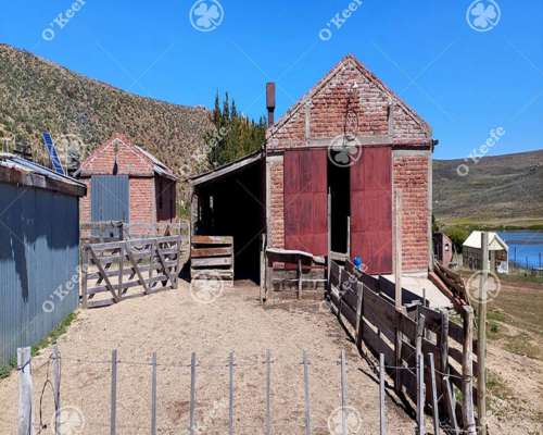 Campo en Venta 4394 Has en las Bayas, Bariloche. Ganadero.