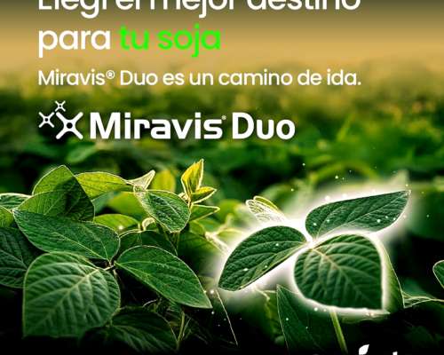 Vendo Herbicidas, Insecticidas, Funguicidas y Coadyuvantes