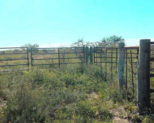 7.387 Ha Cuchillo CO, la Pampa