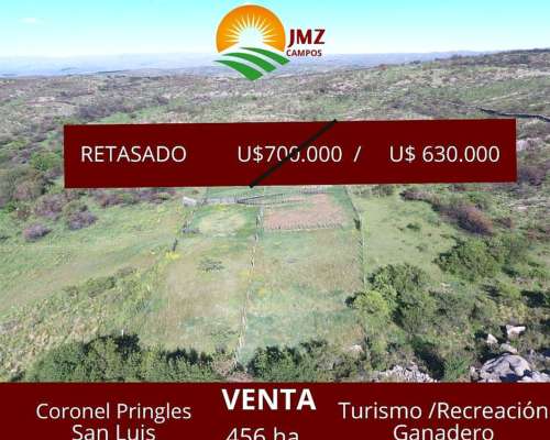 Coronel Pringles -456 HA- San Luis