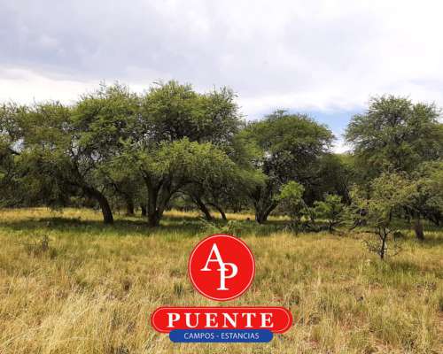 En Venta 750 HA. Chamaicó, la Pampa