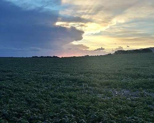 Campo en San Luis. Ubicación Estratégica e Infraestructura