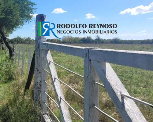 7 HA. en Gualeguaychú - Sobre Ruta 20