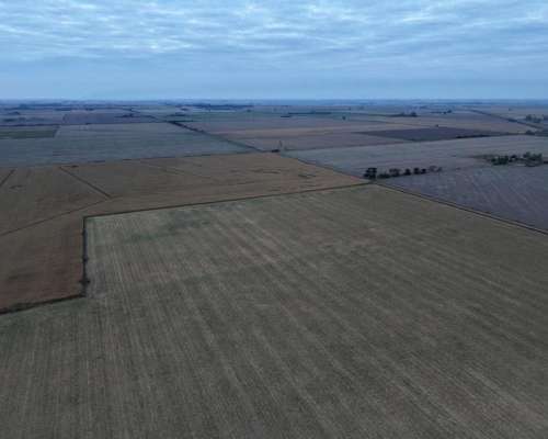 40 HA. Suelo Clase 1 Sobre Ruta. San Genaro (santa FE)