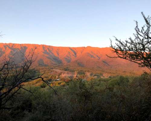 Campo con Almendros y Nogales