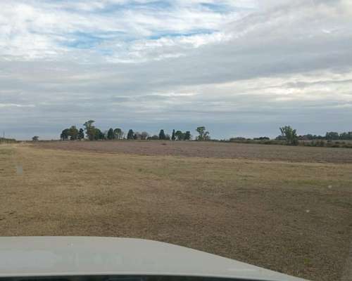 112 Ha Don Cristobal. 80 Ha Agrícolas
