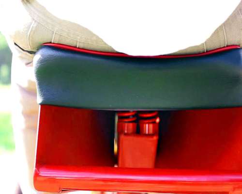 Motodesmalezedora C/motor RH 13 HP 1006