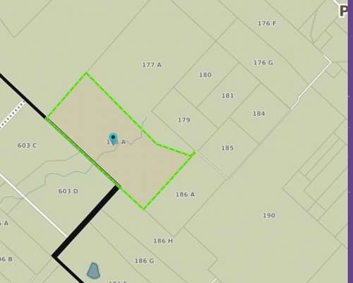 Campo Venta Pila Mixto 611 Ha