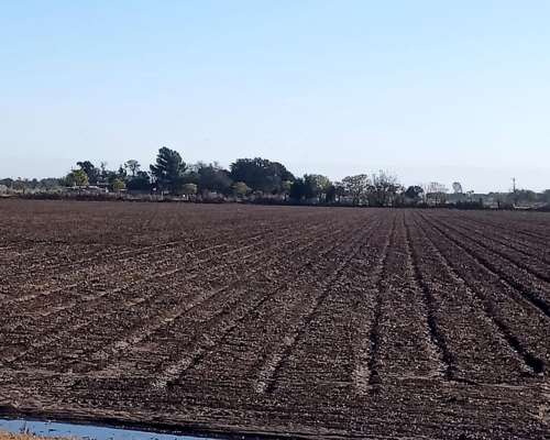 Vendo 18 Hectareas Agricolas - Ferreyra - Cordoba