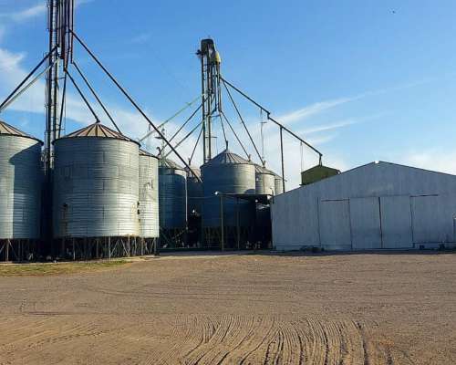 Planta de Silo en Funcionamiento