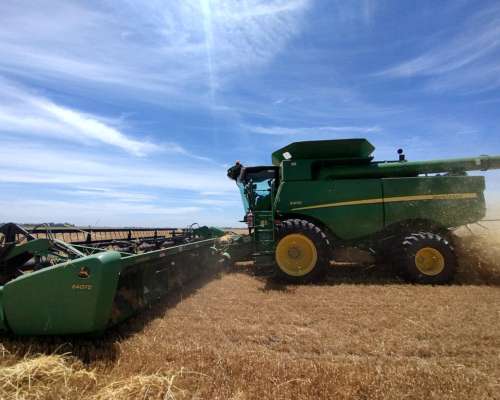 Cosechadora John Deere S670 - Usada