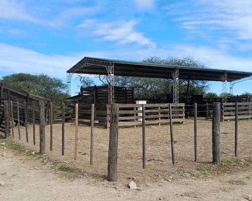 Ceibas, Gualeguaychú, Entre Ríos - 1.000 Ha