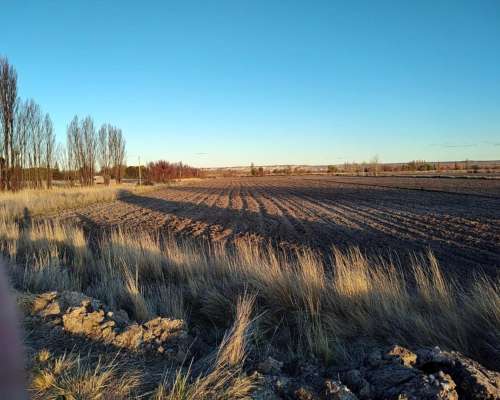 Chacra Zona Gaiman Chubut 36 Ha con Casa