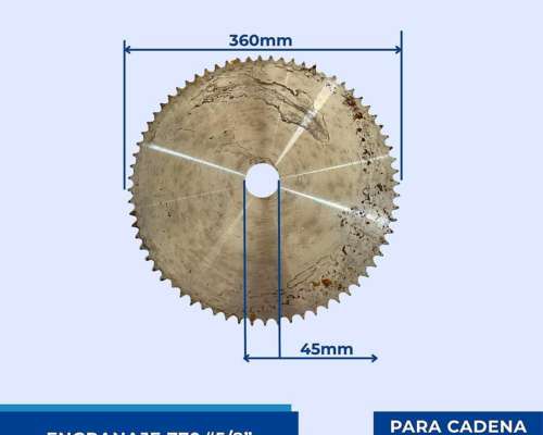 Engranaje de Transmisión Z70 Paso 5/8 Cadena ASA50