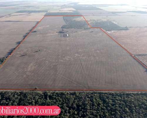 Córdoba la Francia 150 Has Agricolas