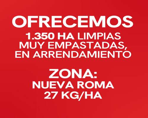1.350 Ha Arrendamiento Mixto Ganadero, Nueva Roma, BA. BCA