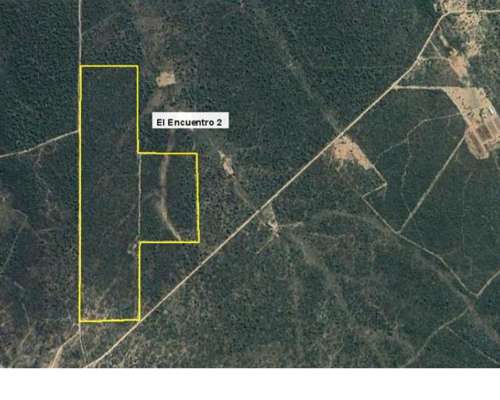 Campo Ganadero Apto Feedlot, 94 HA, Villa de Soto, Córdoba