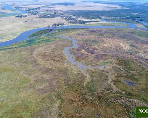Gualeguay, Entre Ríos - 3737ha