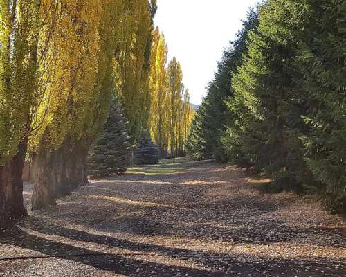 Pilolil, Catan Lil, Neuquen, Argentina