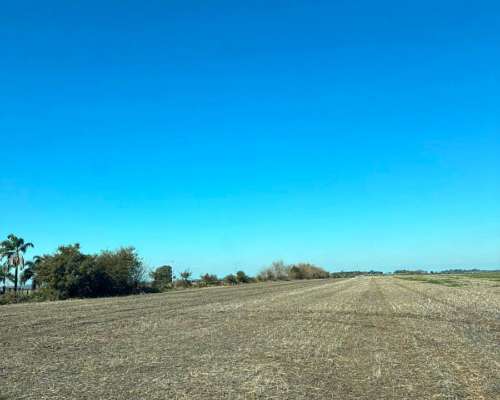 200 Has. Agrícola Cercano a Ruta