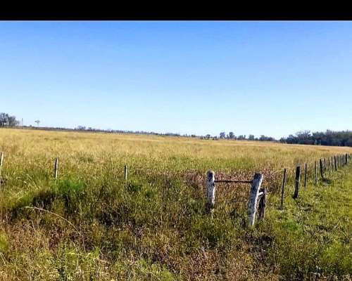Se Vende 150 Ha Zona Pilar y Aurelia
