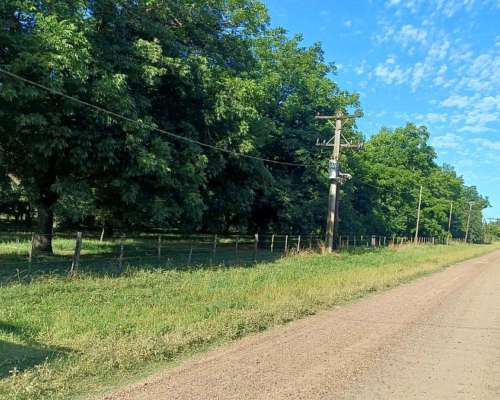 Gualeguay, Entre Ríos - 3,9 Ha