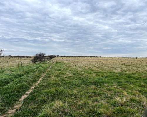 830 Hectáreas San German, Pdo. de Puan