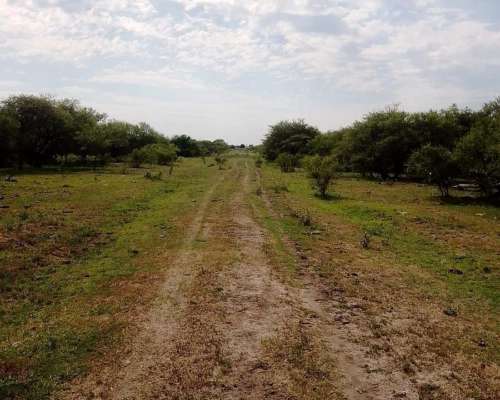 Arrendamiento Alquiler Campo Ganadero