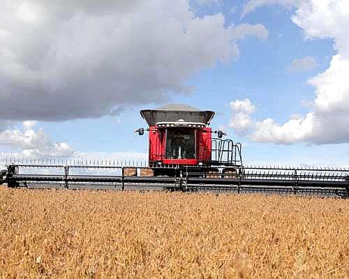 Cosechadora Massey Ferguson 9895 con Plataforma Draper de 45