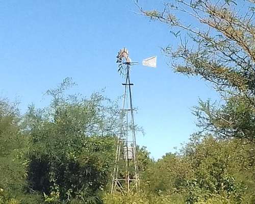 En Alquiler 165 Has Ganaderas. Buen Precio