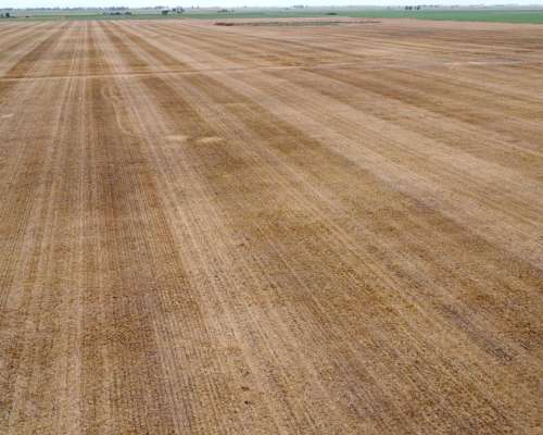 Vende: Campo de 298 Hectáreas. Ubicadas a 3 km al Suroeste D