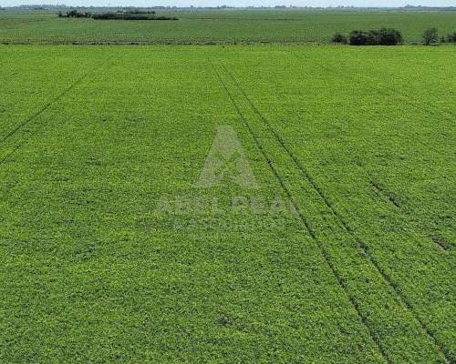 130 Ha San Gregorio, Santa FE