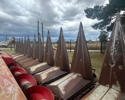 Maicero - Maizco de 12 a 70 CMS - año 2015 - EMB Claas