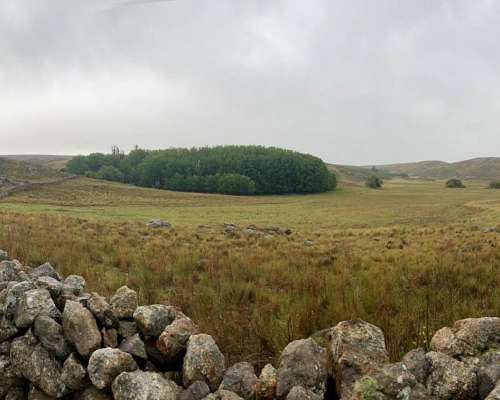 Campo Ganadero a 16 km de la Carolina