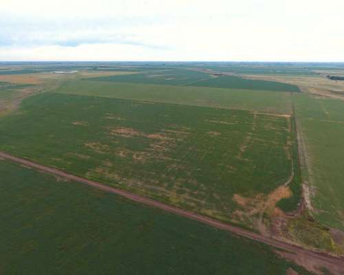 Pcia. de Cordoba - San Marcos SUD 770 Has