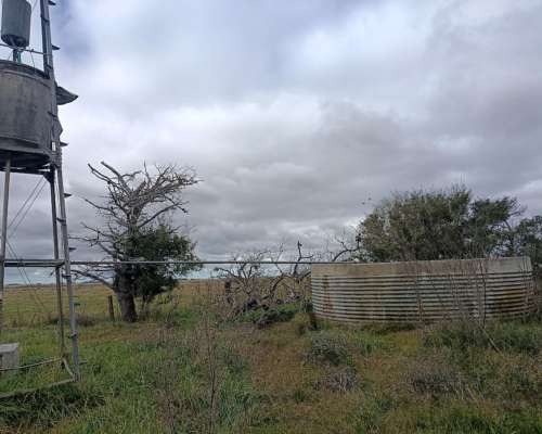 302 HA, Ganadero, Chascomus