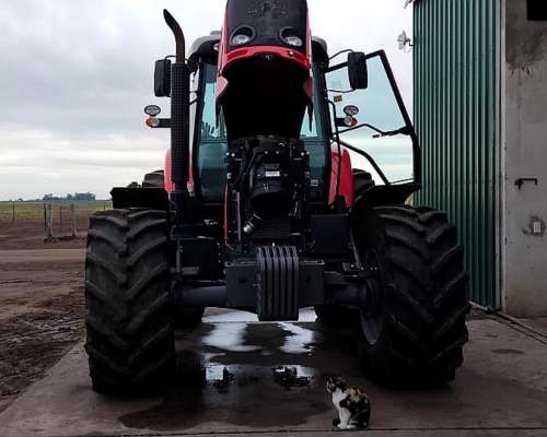Massey Ferguson MF7350 2021 1150hs