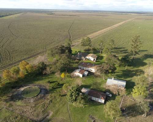 1.239 Has - en Venta - Federal - Entre Ríos