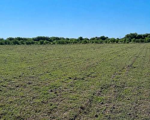 Campo en San Luis 27 Hectáreas - Concarán