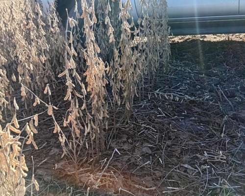 1130 Has Mixtas con 40% Agrícola
