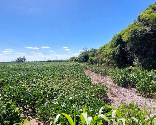 9105 Has SE Venden en Zona Moises Ville