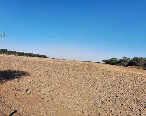 Se Vende Campo en Gancedo Chaco