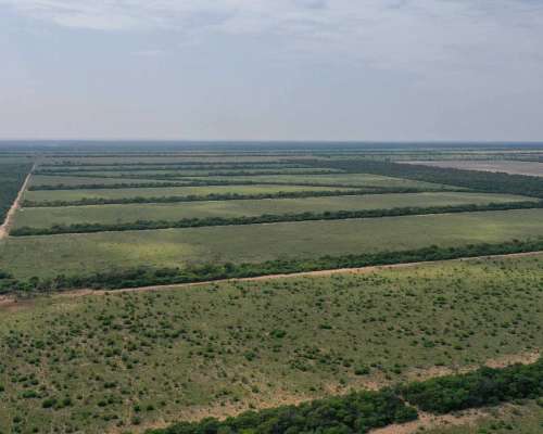 Pcia. de Santiago del Estero - Pozo Hondo 7032 Has