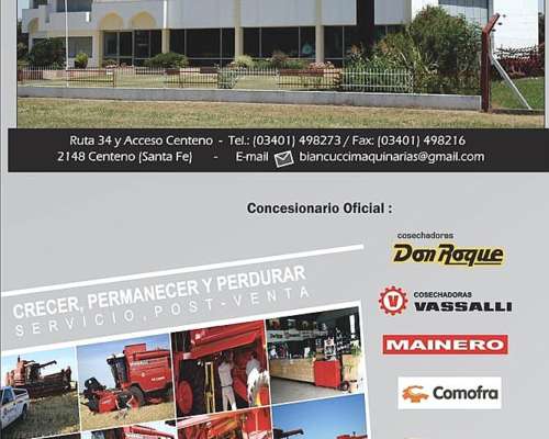 Mainero 1040 Cabezal Girasolero – 19 Líneas Bandeja Fina